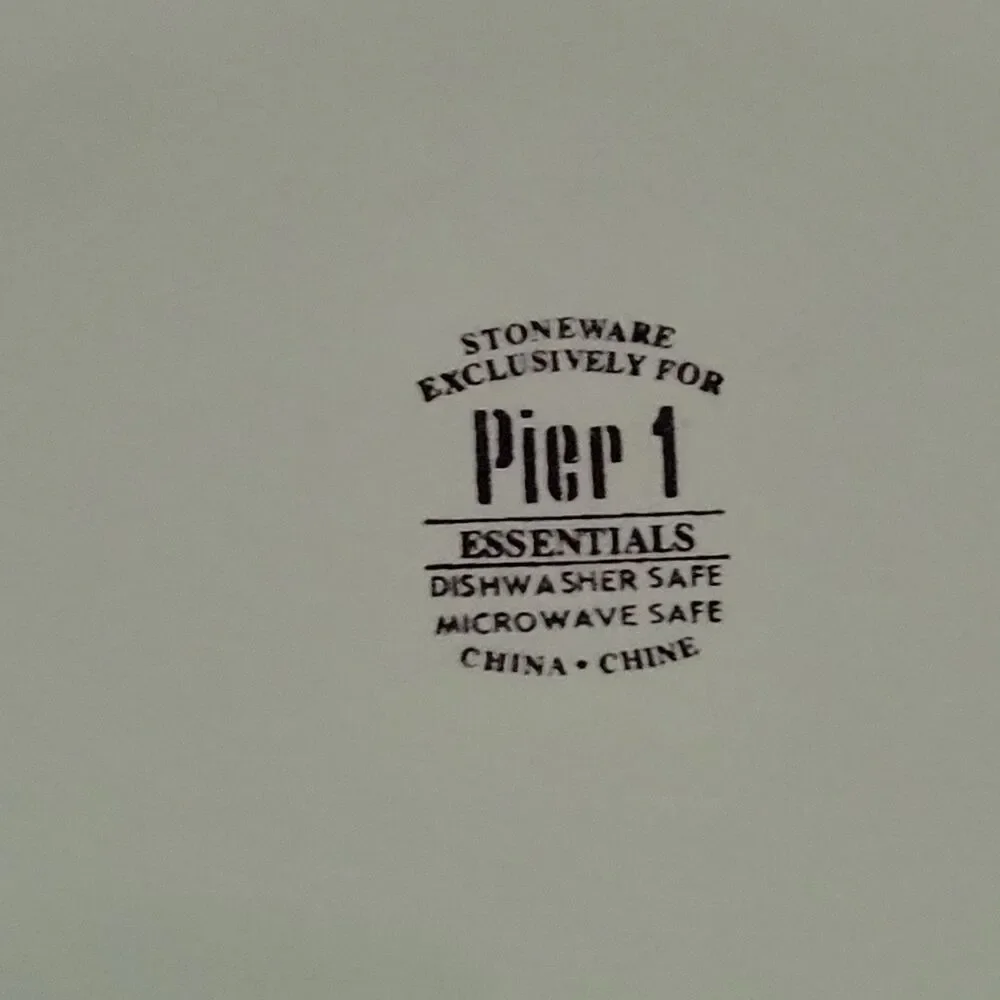 Pier 1 Essentials stoneware Dinner plates 10 3/4